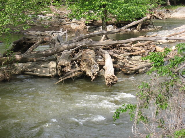 Wood pile in river