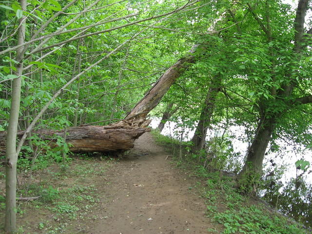 Path along Potomac