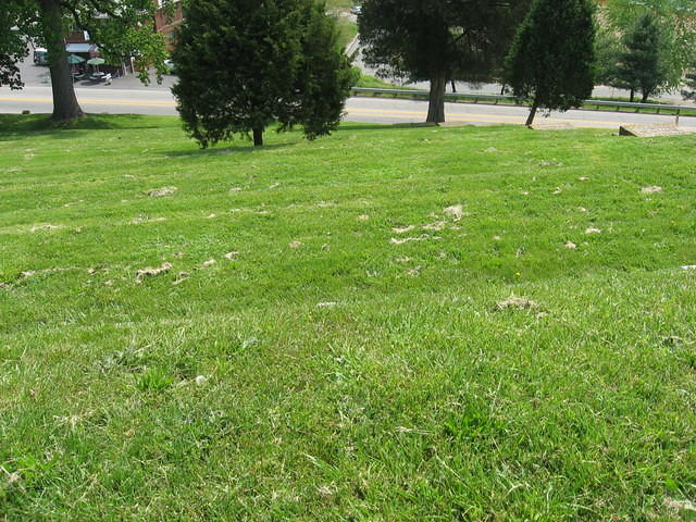 Looking down from Marye's Heights