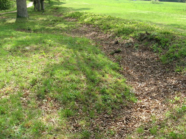 Trenches at Spotsylvania