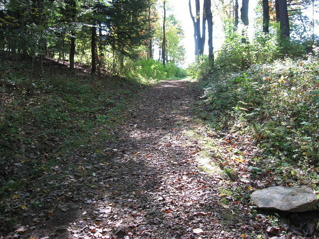 Braddock's first grave site in the road