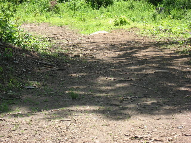 This area was the roadbed for the trolley