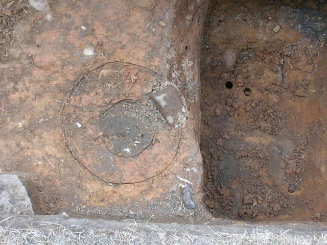 DSCN2155a