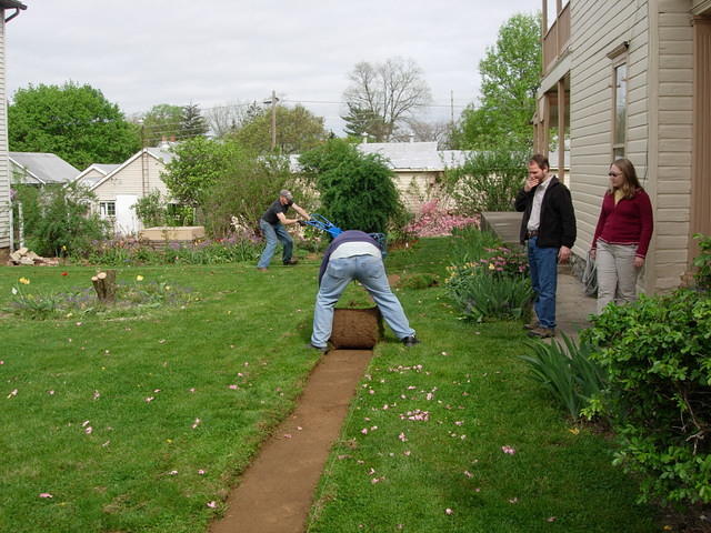 Rolling up sod