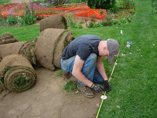 Laying out the site