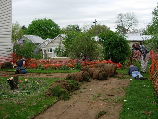 Laying out the site