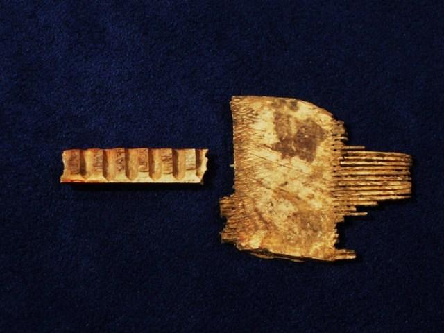 Part of bone toothbrush & Lice comb