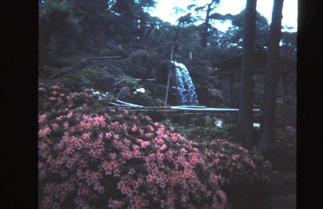 Gardens at an amusement park