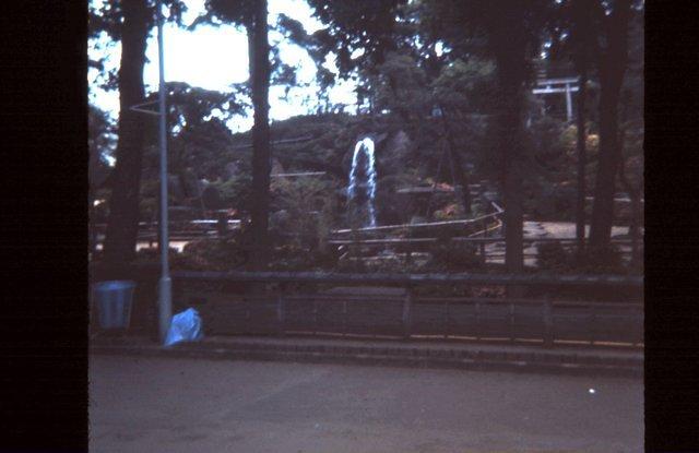 Gardens at an amusement park