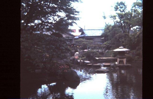 Gardens at an amusement park