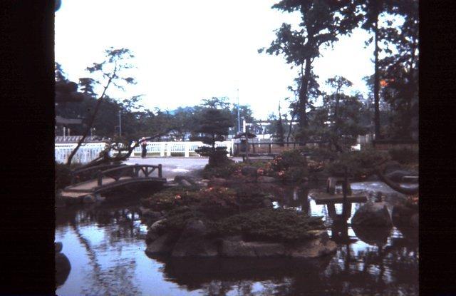 Gardens at an amusement park