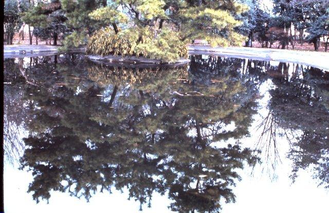 Koi pond at Shrine Park