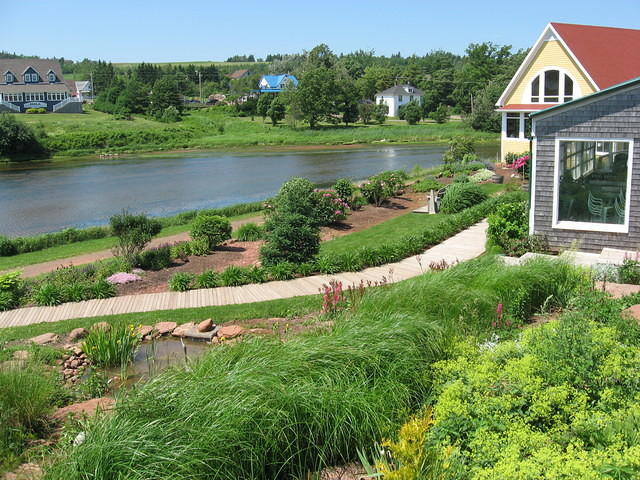 River & Flowers at PEI Preserve Co.