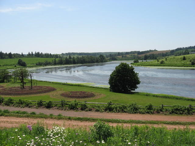 River & Flowers at PEI Preserve Co.