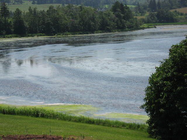 River from parking lot of PEI Preserve Co.