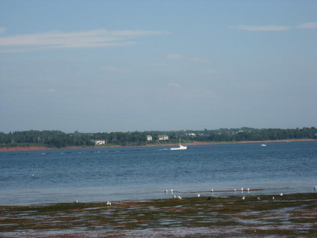 Harbor at Victoria Park Charlottetown