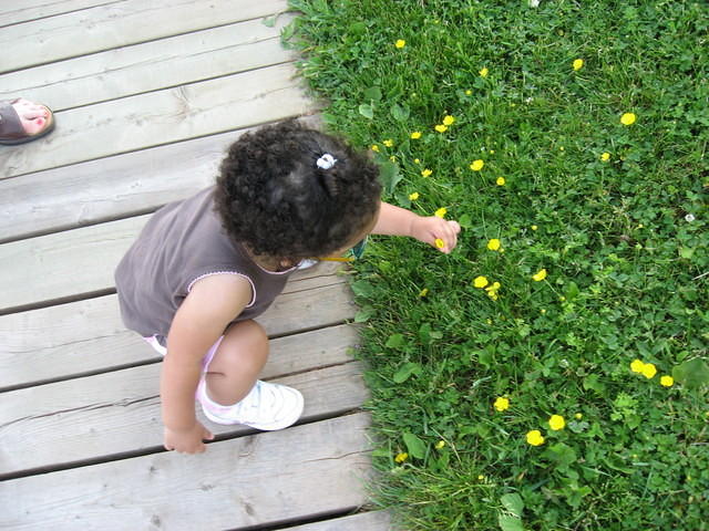 Lily picking flower at Victoria Park