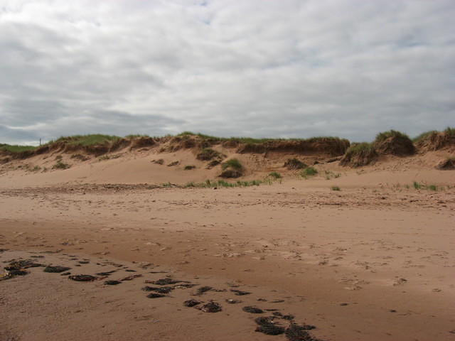 Sand dunes at Penderosa Beach