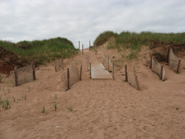 Entrance to Penderosa Beach through dunes at the cottages