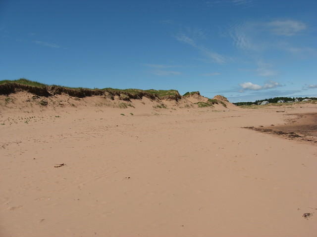 More Penderosa Beach and dunes
