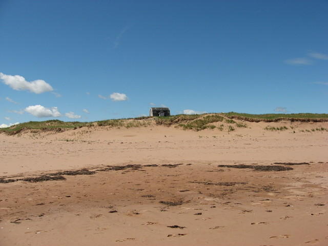 Building at top of dunes