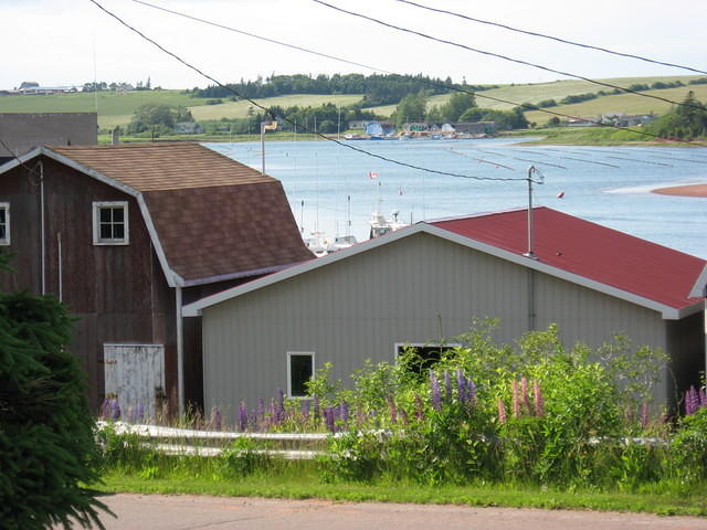 View of French River from Tony Diodati art gallary.