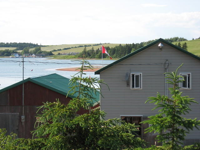 View of French River from Tony Diodati art gallary.