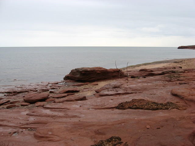 PEI National Park near Cavendish on a rainy overcast day