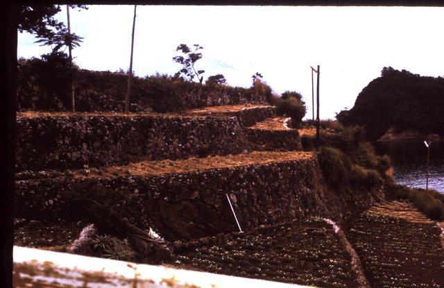 Very small terraced fields