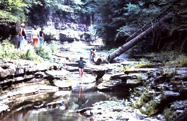 Watkins Glen