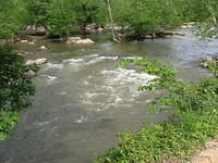 Potomac river beside the C & O Canal