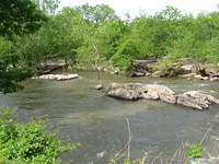 Rocks in Potomac river