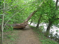 Path along Potomac