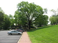 Parking lot at the visitors center at Fredericksburg Va.