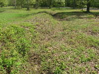 Trenches at the Wilderness