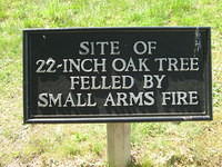 Oak tree sign