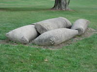 Part of monument at Bushy Run