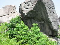 Graffiti on Elephant Rock