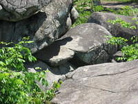 Rock where Weavers made their fake photo