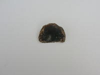 DSCN2177
