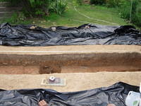DSCN3877