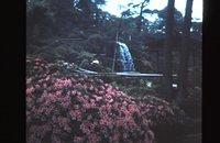 Gardens at an amusement park