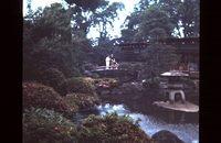 Gardens at an amusement park