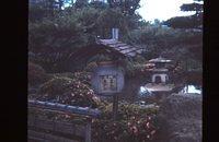 Gardens at an amusement park