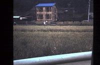 House under construction behind rice field