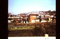 Houses massed together