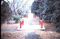 Bridges in Shrine Park on Sagmi Depot