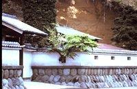 Tree growing through wall at house near Camp Zama