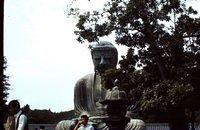 Kamakura Budda