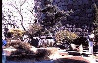 Lovers garden at Odawara Jo